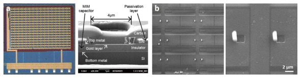 상부 수직형 나노선 전극 어레이 (Top nano-electrodes array) a) 1 mm 크기의 고집적 신경 IC 필름형 소자 이미지 (왼쪽) 및 소자 단면도 (오른족) b) 신경 IC 필름형 소자 위 형성된 수직형 나노선의 전자현미경 이미지