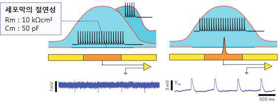 나노선 전극을 이용하여 세포내 침습을 통한 자극 및 측정으로 세포막 절연성에 의한 한계점 극복