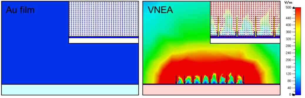 기존 전극(film-type) 대비(왼쪽) 수직형 나노선 전극 어레이(vertical nanowire electrode array-오른쪽)에서 강한 local electric field가 형성되는 것을 확인