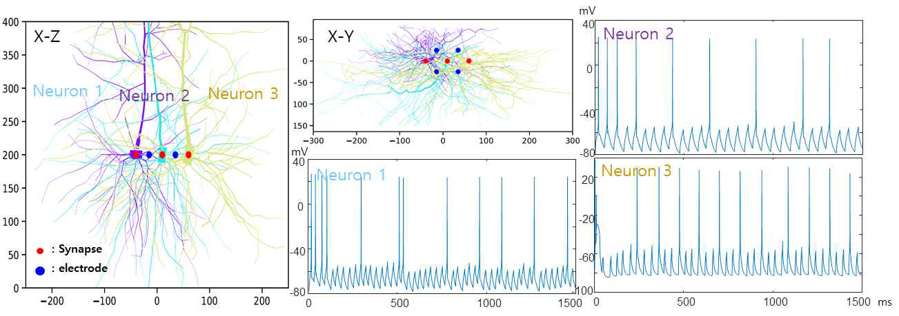 세 신경세포에서 발생한 신호를 tetrode로 측정하는 시뮬레이션 결과 예시. 신경세포 1, 2, 3에 대한 그래프는 각각의 신경세포에서 발생한 Intra-cellular signal을 의미함