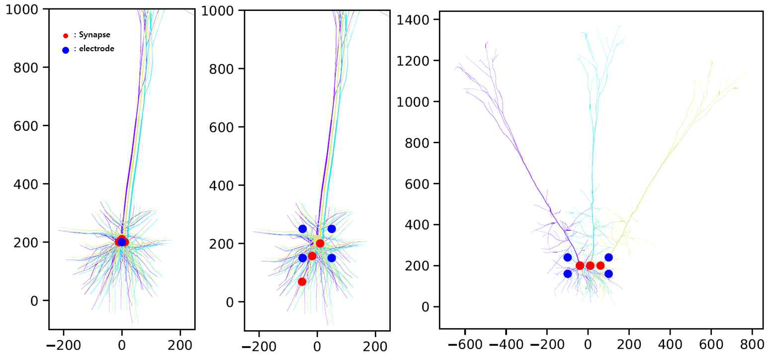 시냅스 위치의 변화 및 전극의 위치의 변화, 신경 세포의 위치 및 배열 변화 예시