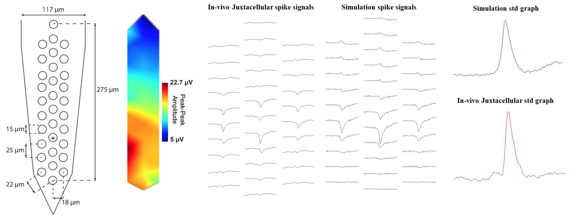 simulation data와 실제 In vivo juxta-cellular data와의 비교. std graph는 sampling point 별 각 electrode 간의 표준 편차를 나타냄