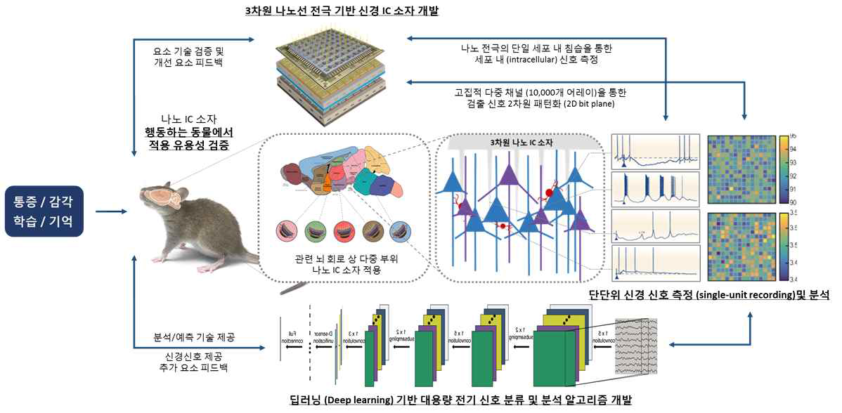 본 연구의 최종 목표인 ‘초정밀 고분해능 뇌신경 구조/기능 측정 기술 개발’의 전체 개요도