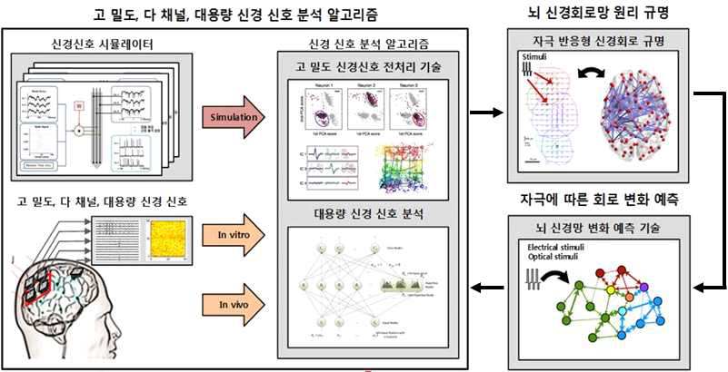 본 연구에서 제안하는 독자적 원천 기술 2) 뇌 신경회로의 전기 신호 처리 알고리즘 개발