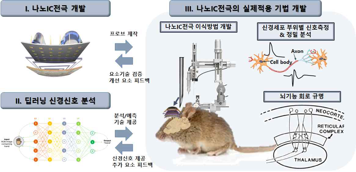 본 연구에서 제안하는 독자적 원천 기술 3) 통증/감각 및 학습/기억 뇌 회로에서의 나노 소자 in-vivo 측정/제어 검증