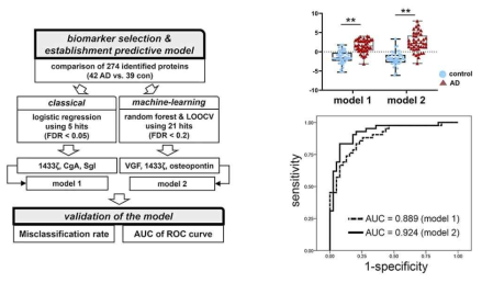 알츠하이머병 진단 뇌척수액단백 알고리즘(모델1과 2)의 진단 효용성은 ROC 분석에서 AUC = 0.889 (모델1) 및 0.924 (모델2)의 수준으로 높음