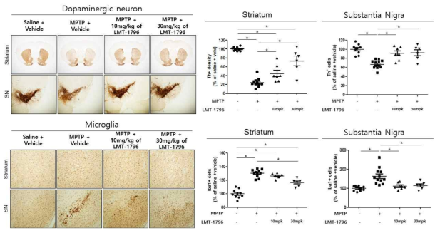 LMT-1796에 의한 dopaminergic neuron의 사멸억제와 소교세포이동 억제