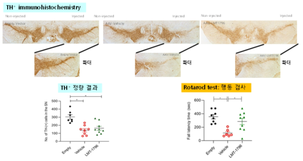 AAV-α-Syn model에서 LMT-1796의 역가 검증 분석