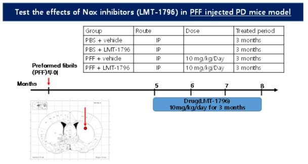 PFFα-Syn injection model에서 LMT-1796의 역가 평가