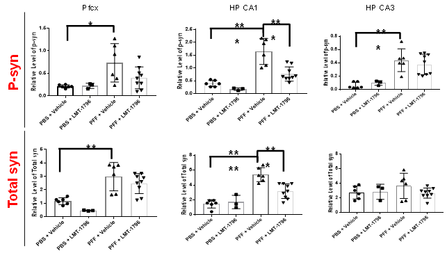 PFFα-Syn injection model에서 LMT-1796에 의한 α-Syn 억제 효과