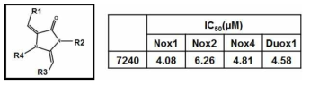 Nox 저해제 Ewha-7240과 그의 IC50 값