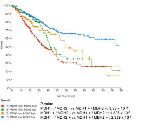 MDH1과 MDH2 동시 발현에 따른 LUAD 환자의 생존 예후