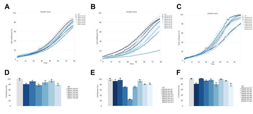 MDH1, MDH2, KRAS 유전자 편집 세포주의 성장 곡선과 세포 성장. A. MDH1 편집 세포주 성장 곡선, B. MDH2 편집 세포주 성장 곡선, C. KRAS 편집 세포주 성장 곡선, D. MDH1 편집 세포주 성장, E. MDH2 편집 세포주 성장, F. KRAS 편집 세포주 성장