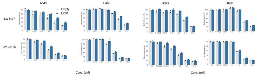 LKB1-deficient 비소세포생 폐암 A549 세포주의 MDH1/2 저해제 LW-L2136에 의한 성장 억제 민감성