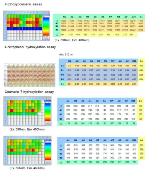 Bacillus P450 활성 HTS system 개발