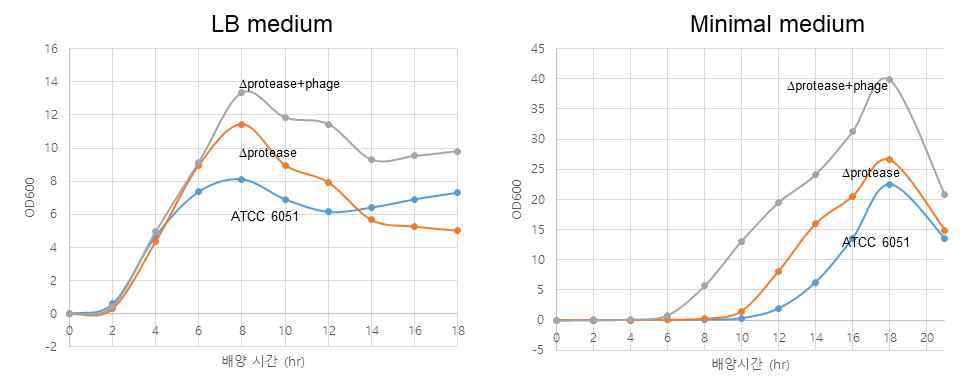 제작된 군주의 growth curve