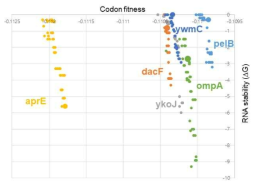 선택된 leader sequence를 coding 하는 DNA 서열들의 codon context fitness와 RNA stability