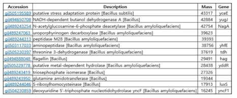 Identification of active fraction proteins in Bacillus strains