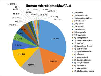 Human faces에서 분류한 Bacillus의 16s rRNA BLAST 결과