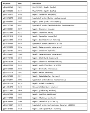 EV proteome list of B. velezensis GF423 strain (shown, partial data)