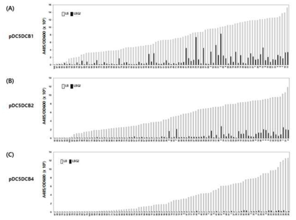 CRE 염기 서열을 포함하는 cry3Aa 프로모터 변이체들을 도입시킨 Bacillus 균주의 GFP 발현양 비교. (A) pDC5DCB1; –10 부위 뒤에 1개의 CRE 공통염기서열을 포함한 cry3Aa 프로모터, (B) pDC5DCB2; –10 부위 뒤에 2개의 CRE 공통염기서열을 포함한 cry3Aa 프로모터, (C) pDC5DCB4; –10 부위 뒤에 4개의 CRE 공통염기서열을 포함한 cry3Aa 프로모터. LBG2는 포도당이 2% 첨가된 LB 배지를 의미함
