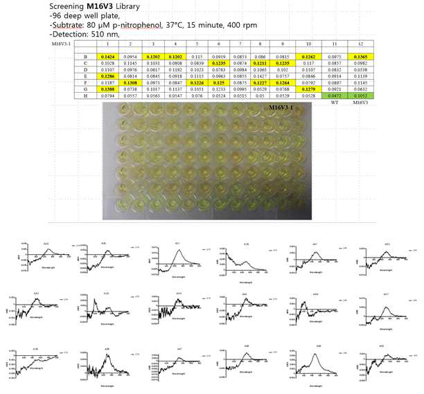 CYP102A1 heme domain library의 발현 분석 HTS system 개발