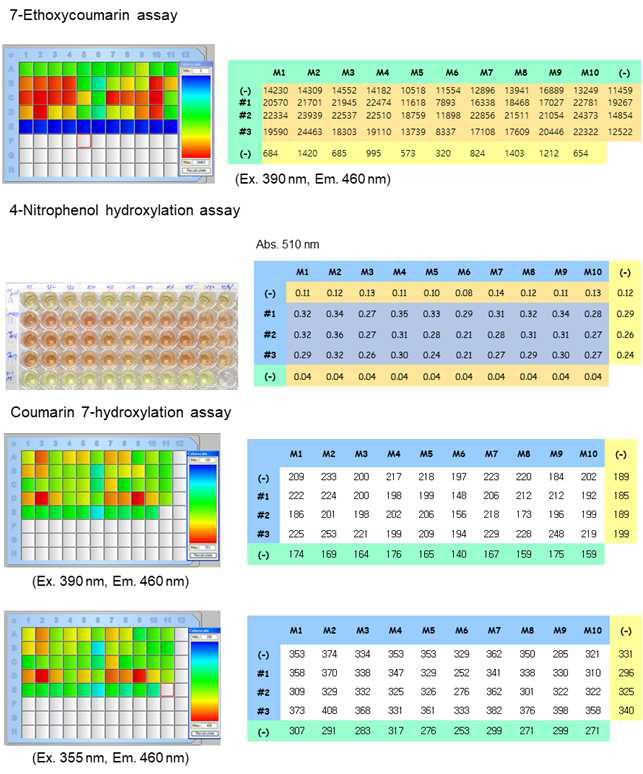 Bacillus P450 활성 HTS system 개발