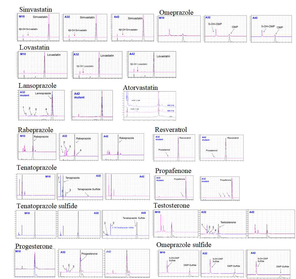 Bacillus P450 mutant M10, A32 및 A42를 발현한 세포를 이용하여 약물 및 스테로이드 기질에 대한 whole cell bioconversion