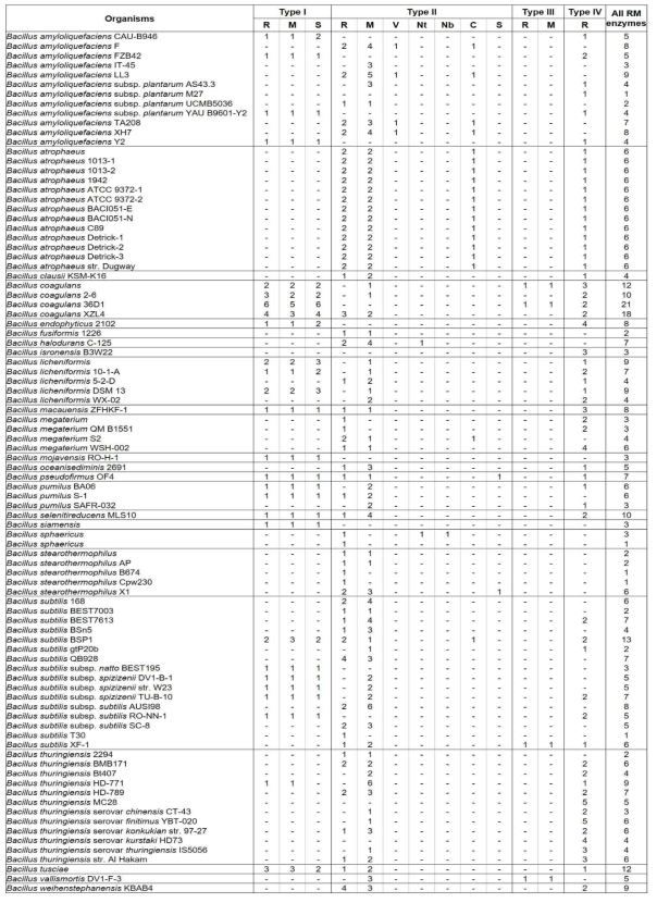 Bacillus 균의 R-M 시스템 요약 (REBASE)