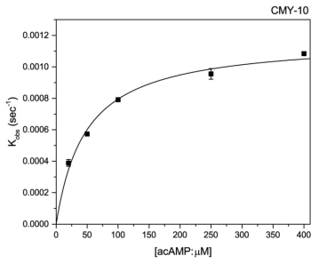 acAMP의 CMY-10에 대한 효소동력학적 실험 결과