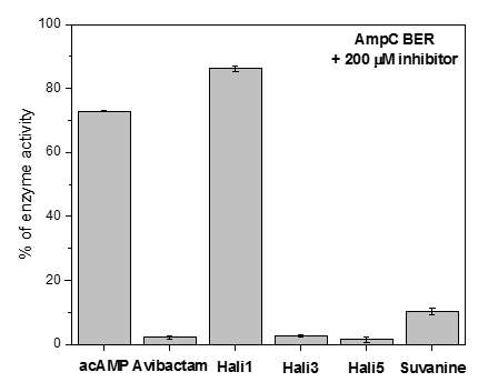 AmpC BER에 대한 sesterterpene계열 물질들의 저해 활성