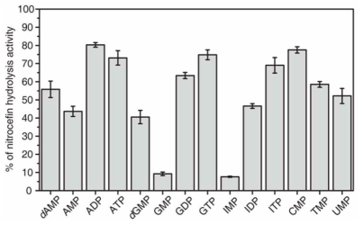 Purine계 nucleotide들에 의한 CMY-10의 효소 활성 저하 그래프