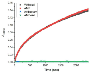 AMP-Avi에 의한 AmpC BER inhibition activity