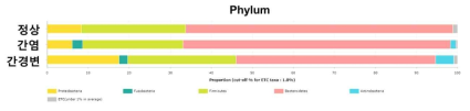 정상인과 간염, 간경변 환자간의 Phylum 수준에서의 미생물 비교