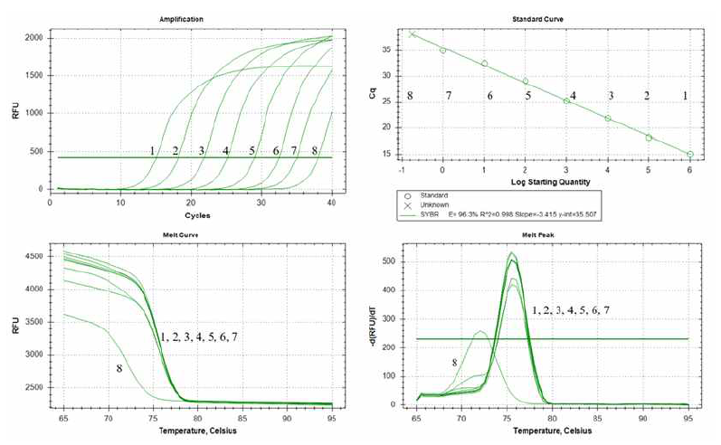 Real-time PCR을 이용한 F. nucleatum subsp. nucleatum 정량 분석