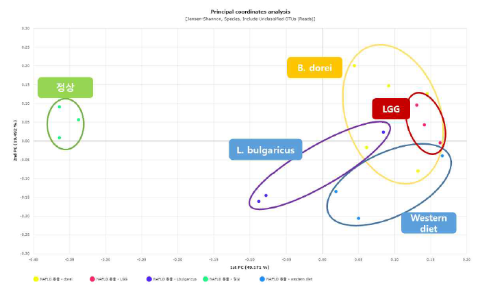 비알코올 지방간질환(NAFLD) 마우스 모델에서 파마바이오틱스 후보 미생물 섭취에 따른 장내 미생물 PCoA 분석