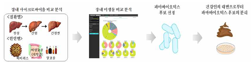 연구개발 추진 체계