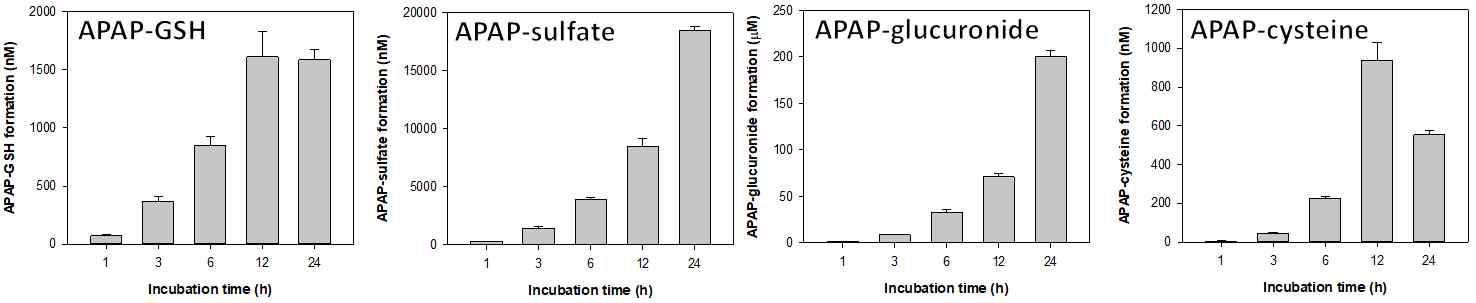 Acetaminophen (10 mM)을 처리한 primary human hepatocyte에서의 상대적인 독성 대사체 형성 평가