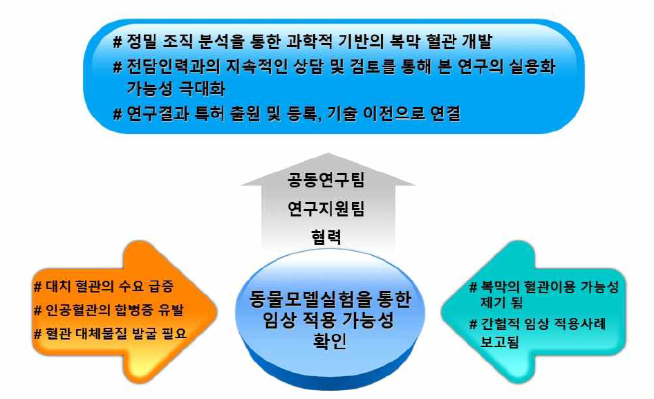 연구 개발 추진 전략