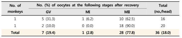 과배란유도 후 회수한 원숭이 난자의 핵 발달단계 조사