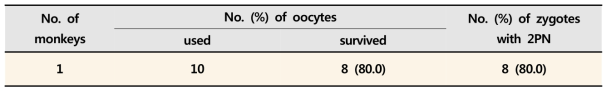 ICSI 기법 이용 원숭이 체외수정란 생산