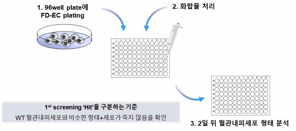 1차 임상화합물 스크리닝 방법 개요