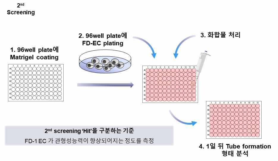 2차 스크리닝 방법 개요