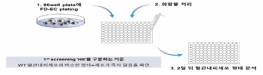 1차 임상화합물 스크리닝 방법 개요