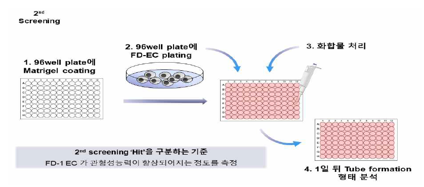 2차 스크리닝 방법 개요