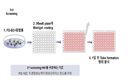 3차 스크리닝 방법 개요