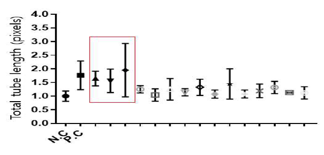 3차 스크리닝 결과 (N.C=negative control, P.C=postivie control). 빨강 네모 안에 있는 신약 약물 후보가 최종적으로 파브리병 혈관병증 치료를 위한 약물로 선정 됨. (농도 : 5um)