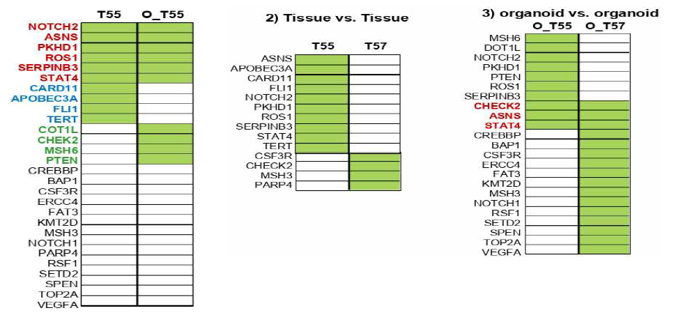 신장 조직 및 신장 조직 유래의 3D 오가노이드에서 targeted sequencing 결과 비교