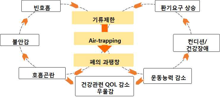 만성 폐쇄성 폐질환의 악화고리