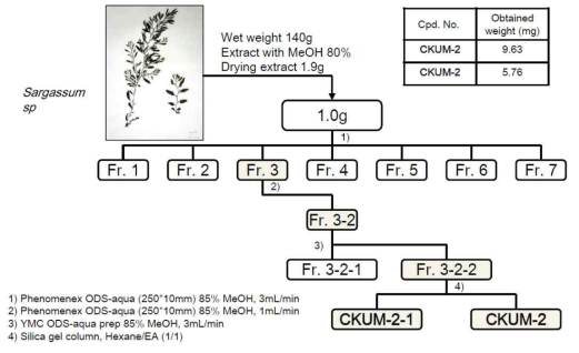 CKUM-2와 CKUM-2-1의 분리 정제